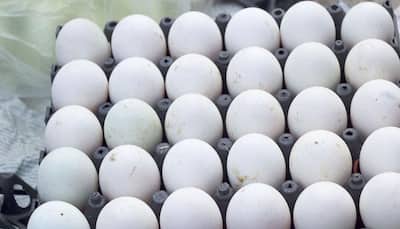 Bizarre! Kolkata man held for selling 'fake' eggs made out of plastic 