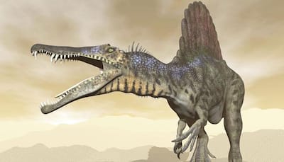Scientists discover new species of crocodile-like dinosaur