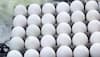 This is how you can distinguish between artificial and real eggs!