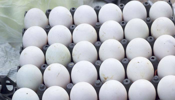 This is how you can distinguish between artificial and real eggs!