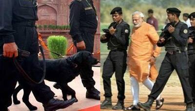 Prized dog in PM Narendra Modi's security team undergoes surgery; black Labrador had won Rs 15 lakh cash prize