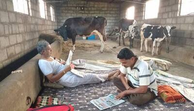 Karnataka BJP lawmaker ditches five-star hotel comfort to stay in cowshed