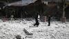 Syria gas attack kills 58; top EU diplomat says 'Assad has primary responsibility'