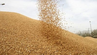 Govt mulling hiking import duty on wheat