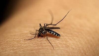 Dengue contained in Mizoram