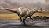 Study says early dinosaurs were similar to crocodiles