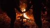 22 dead in blaze at Senegal religious retreat