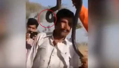 Selfie moment goes horribly wrong! Indian man dies after deadly cobra bite: This video has over 1 lakh views -WATCH 