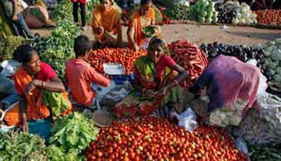 WPI inflation plunges to 5.70% in March vs 6.55% in February
