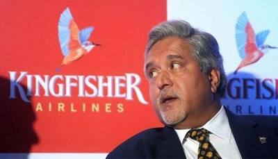 14 months from Vijay Mallya flight to arrest, extradition may take time