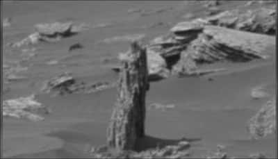 Alien hunters spot possible tree stump on Mars, say it points towards existence of vegetation on Red Planet!