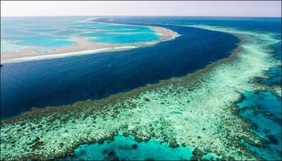 Relief to the Great Barrier Reef with vinegar