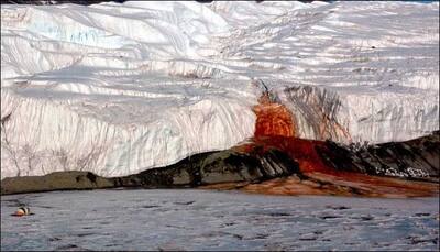 Antarctica's 'Blood-falls': Scientists finally decode more than century-old mystery!