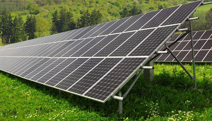 Jamun used to create low-cost solar cells by Indian scientists