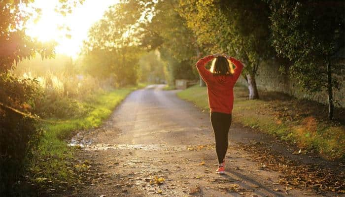 Walk in nature and shake off the summer heat!