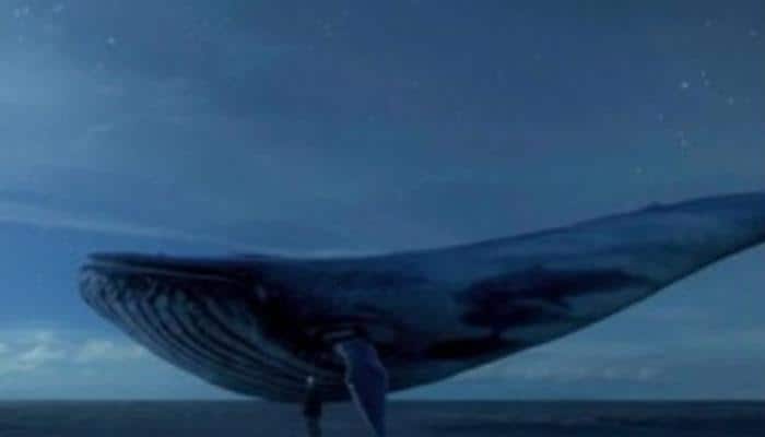 Chilling 'suicide game' Blue Whale raises concern worldover