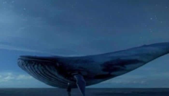 Chilling &#039;suicide game&#039; Blue Whale raises concern globally