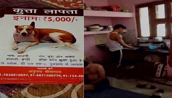 Pet dog kidnapped, beaten to death, meat consumed in Gurgaon's DLF Phase II