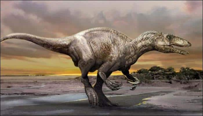 At last it&#039;s spotted – Scientists discover &#039;Last African dinosaur&#039; in Moracco