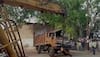 14 killed after 'sleepy' driver loses control of mini bus in UP