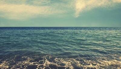 Oxygen level in world's oceans declining since 1980s