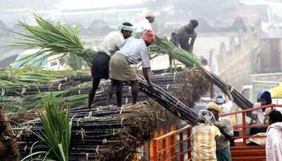 "It's better to die than to suffer" — UP sugarcane farmers write to PM Modi, Yogi Adityanath, seek euthanasia