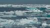 Arctic ice sea