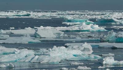 Arctic sea could be 'free of ice' by 2040, warn scientists