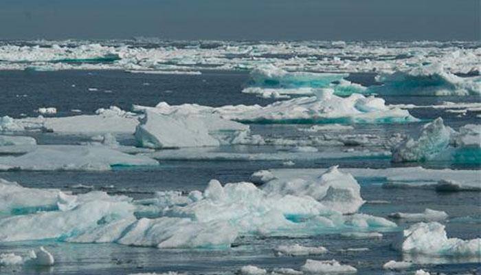 Arctic sea could be 'free of ice' by 2040, warn scientists