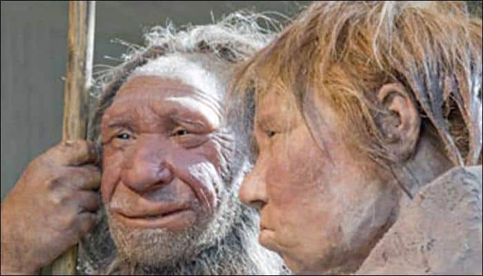Homo naledi likely lived alongside modern humans: Study