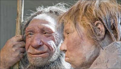 Homo naledi likely lived alongside modern humans: Study