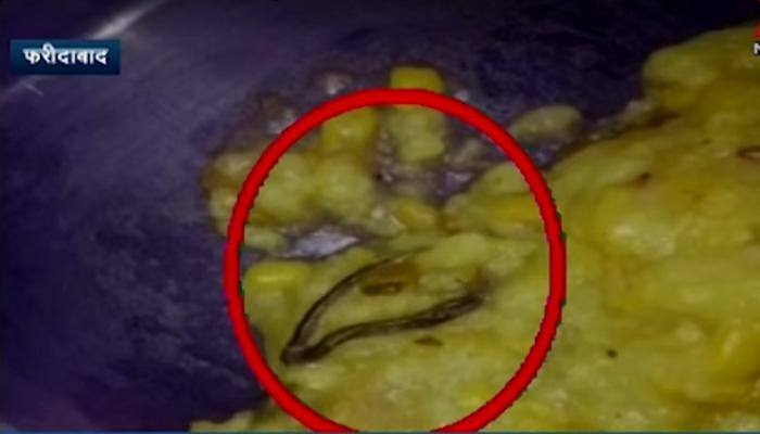 Snake found in mid-day meal at Faridabad school - Watch