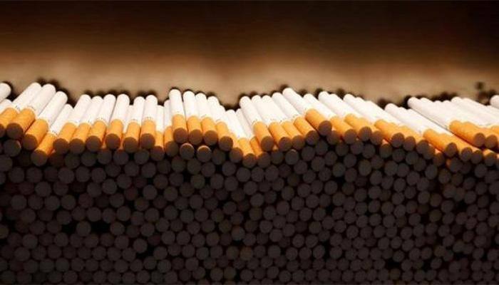 Assam: 40 quintal tobacco, 800 kg of Ganja destroyed in Kokrajhar