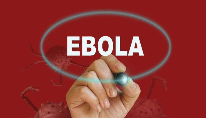 400 contacts being traced in Congo's Ebola outbreak: WHO