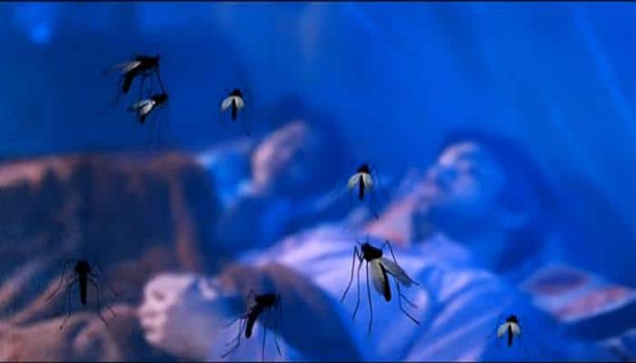 This gene variant can mitigate malaria risk by 40 percent 