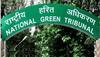 NGT tightens the screw; bans open defecation, dumping of waste on Yamuna floodplains