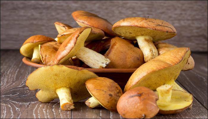 Mushroom lovers, pay attention! Microwaving or grilling them may be more healthier 