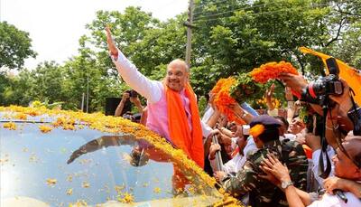 ICJ verdict 'big achievement' of Modi govt, Cong to blame for 'Kashmir problem': Shah