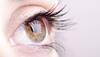  Watching television for deaf-blind becomes possible with this new technology