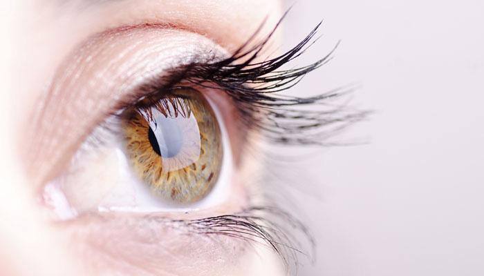  Watching television for deaf-blind becomes possible with this new technology