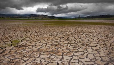 Beef ban can be effective in reducing climate change, global warming