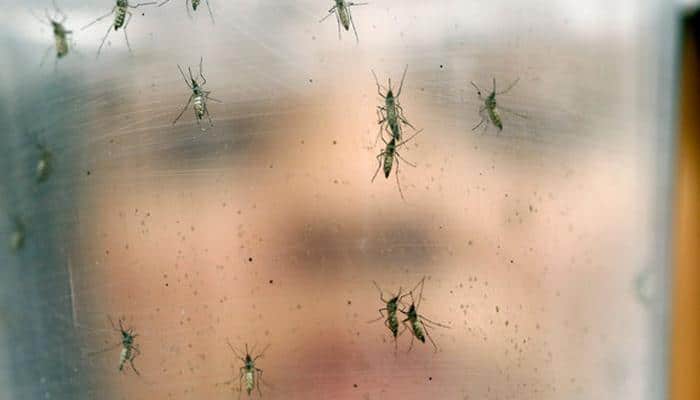 Zika virus infections may cause eye diseases to unborn babies, says study