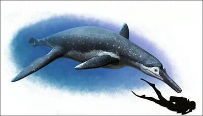 Scientists discover new species of bus-sized fossil reptile in Russia
