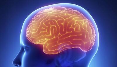 Grey matter density increases during adolescence: Study