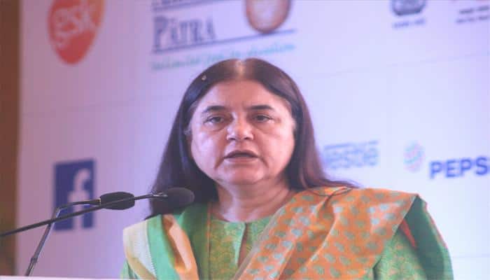 New rules would ensure cattle is not ill-treated: Maneka Gandhi