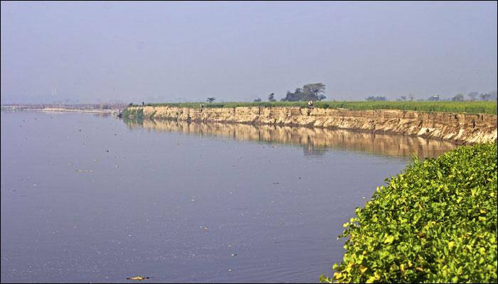 Cattle blood flowing into Yamuna compels NGT to condemn Delhi govt, civic bodies