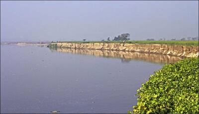 Cattle blood flowing into Yamuna compels NGT to condemn Delhi govt, civic bodies