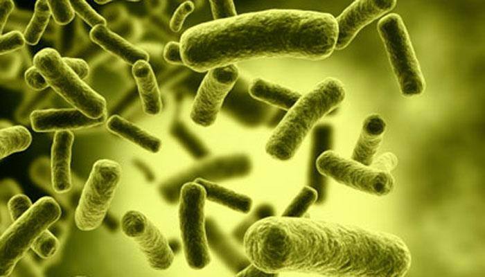 &#039;Magical&#039; antibiotic modified to beat bacterial resistance