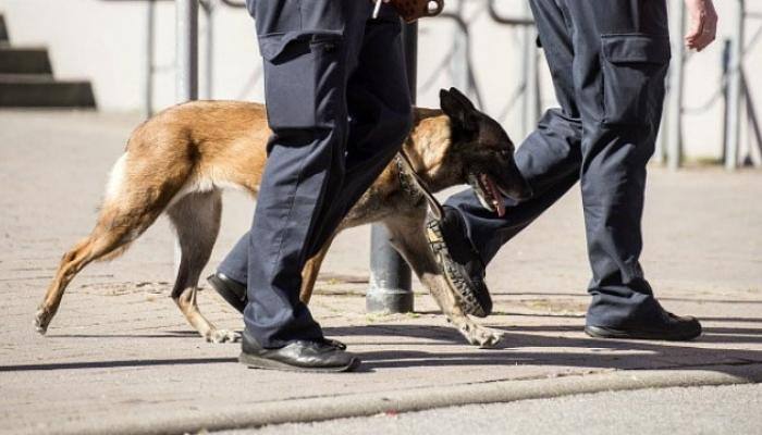 Belgium Malinois canines tracking poachers in Assam