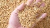 A single serving of rice bran may provide essential nutrition!